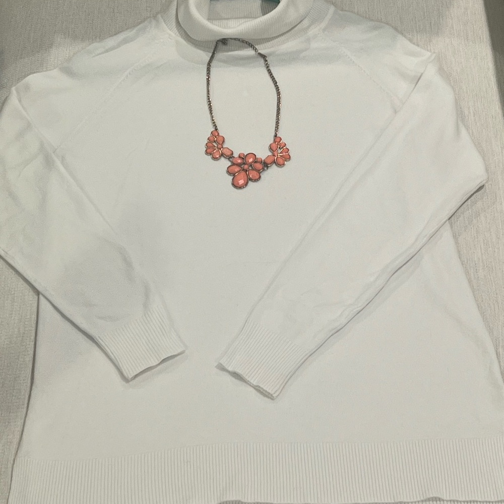 Off white/ Ivory Turtleneck Tunic Sweater
